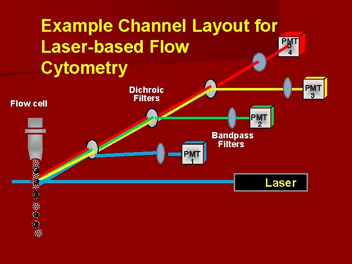 Example Channel Layout for PMT Laser-based Flow Cytometry 4 Flow cell PMT Dichroic Filters