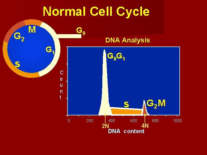 Normal Cell Cycle G 2 M G 0 DNA Analysis G 1 s G