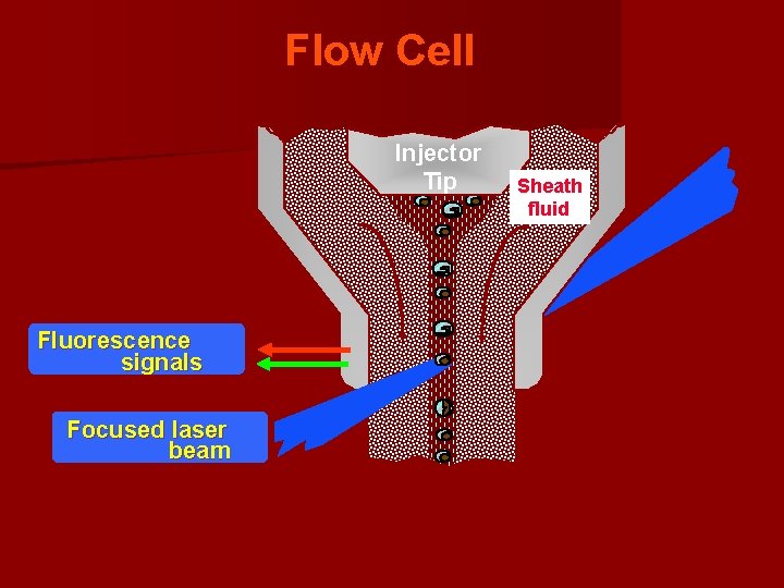 Flow Cell Injector Tip Fluorescence signals Focused laser beam Sheath fluid 