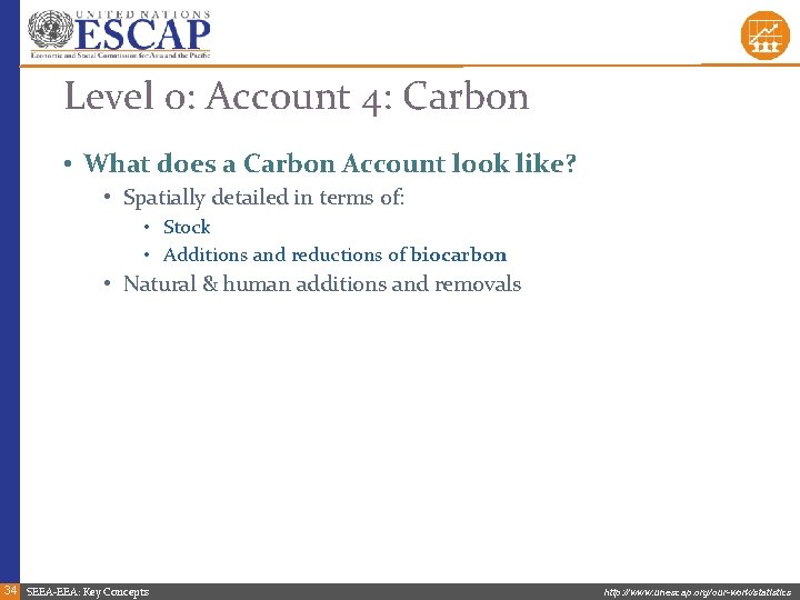 Level 0: Account 4: Carbon • What does a Carbon Account look like? •