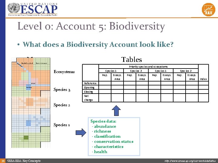 Level 0: Account 5: Biodiversity • What does a Biodiversity Account look like? Maps