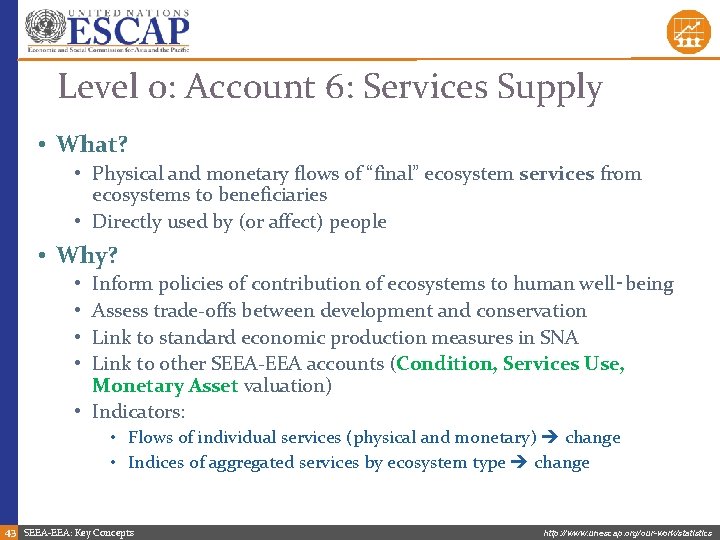 Level 0: Account 6: Services Supply • What? • Physical and monetary flows of