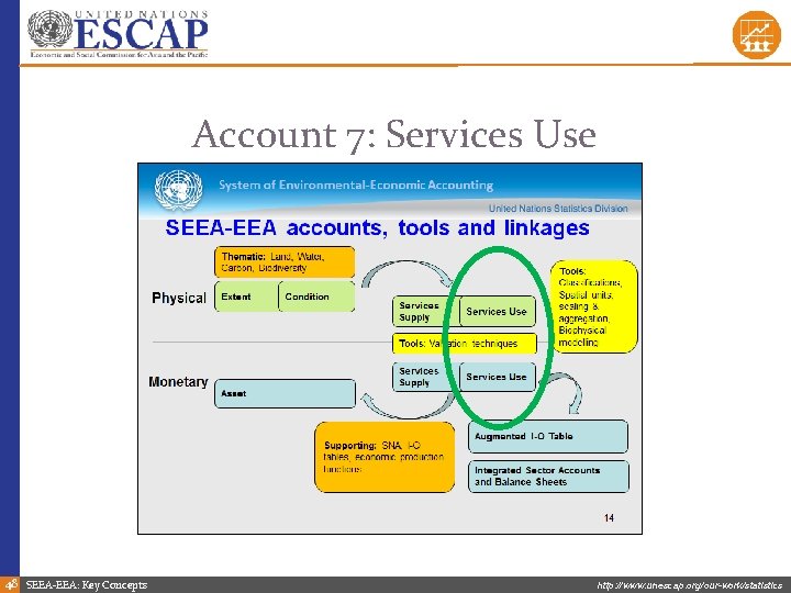 Account 7: Services Use 48 SEEA-EEA: Key Concepts http: //www. unescap. org/our-work/statistics 