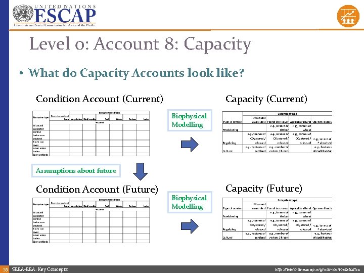 Level 0: Account 8: Capacity • What do Capacity Accounts look like? Condition Account