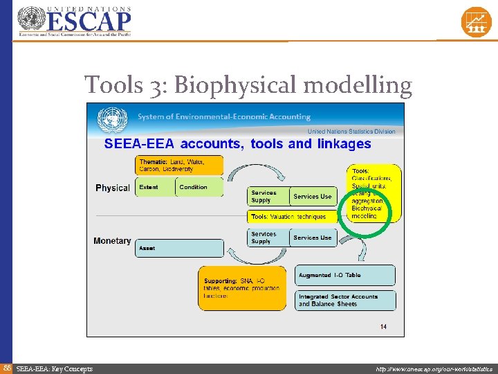 Tools 3: Biophysical modelling 88 SEEA-EEA: Key Concepts http: //www. unescap. org/our-work/statistics 