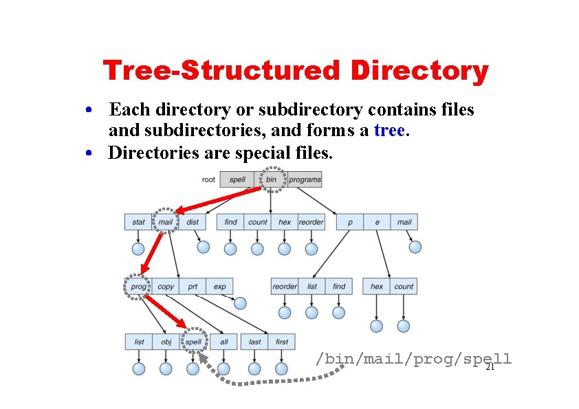 Tree-Structured Directory • Each directory or subdirectory contains files and subdirectories, and forms a