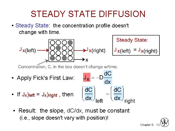 STEADY STATE DIFFUSION • Steady State: the concentration profile doesn't change with time. •