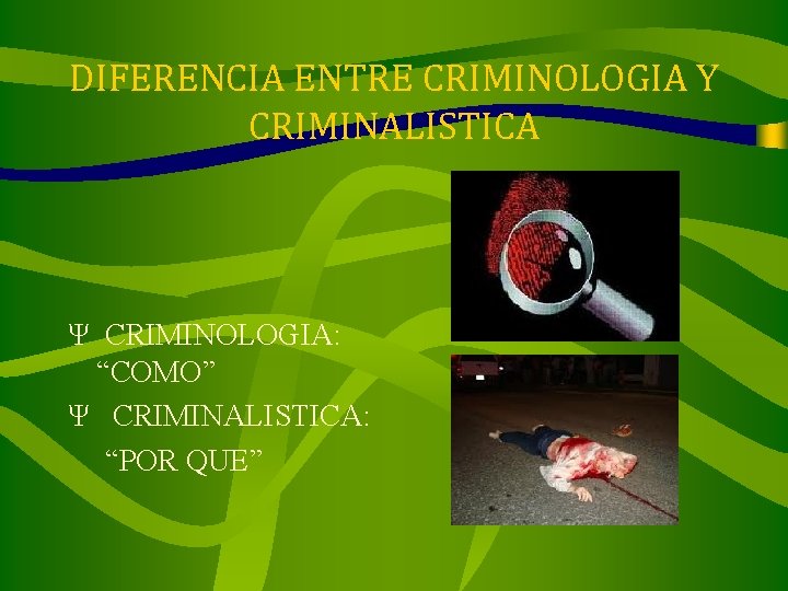 DIFERENCIA ENTRE CRIMINOLOGIA Y CRIMINALISTICA Ψ CRIMINOLOGIA: “COMO” Ψ CRIMINALISTICA: “POR QUE” 