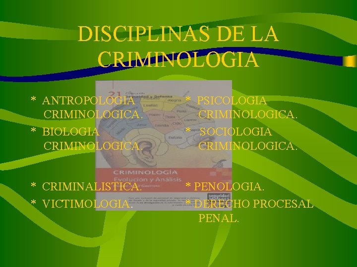 DISCIPLINAS DE LA CRIMINOLOGIA * ANTROPOLOGIA CRIMINOLOGICA. * BIOLOGIA CRIMINOLOGICA. * PSICOLOGIA CRIMINOLOGICA. *