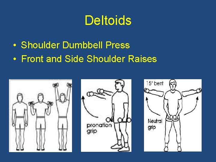Deltoids • Shoulder Dumbbell Press • Front and Side Shoulder Raises 