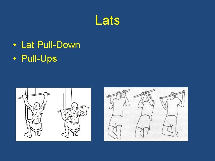 Lats • Lat Pull-Down • Pull-Ups 