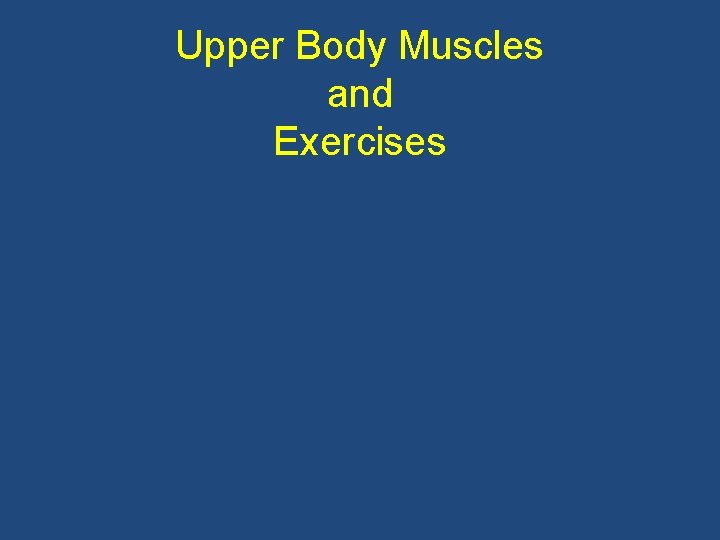 Upper Body Muscles and Exercises 