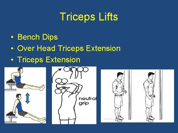 Triceps Lifts • Bench Dips • Over Head Triceps Extension • Triceps Extension 