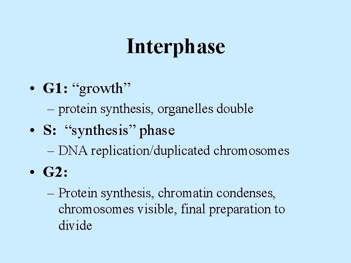 Interphase • G 1: “growth” – protein synthesis, organelles double • S: “synthesis” phase