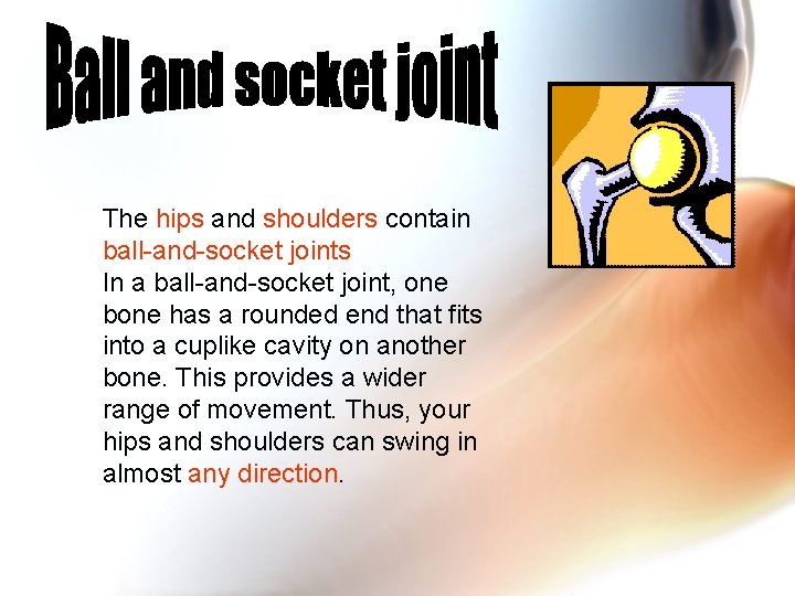 The hips and shoulders contain ball-and-socket joints In a ball-and-socket joint, one bone has