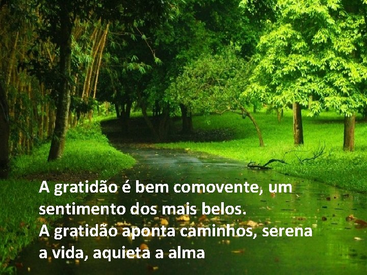 A gratidão é bem comovente, um sentimento dos mais belos. A gratidão aponta caminhos,