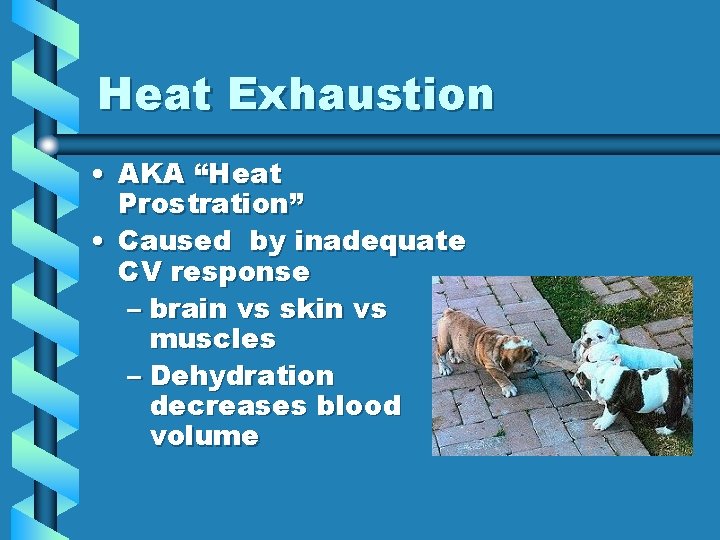 Heat Exhaustion • AKA “Heat Prostration” • Caused by inadequate CV response – brain Heat Exhaustion • AKA “Heat Prostration” • Caused by inadequate CV response – brain