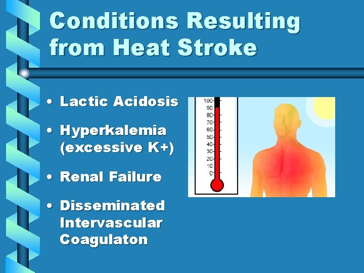 Conditions Resulting from Heat Stroke • Lactic Acidosis • Hyperkalemia (excessive K+) • Renal Conditions Resulting from Heat Stroke • Lactic Acidosis • Hyperkalemia (excessive K+) • Renal