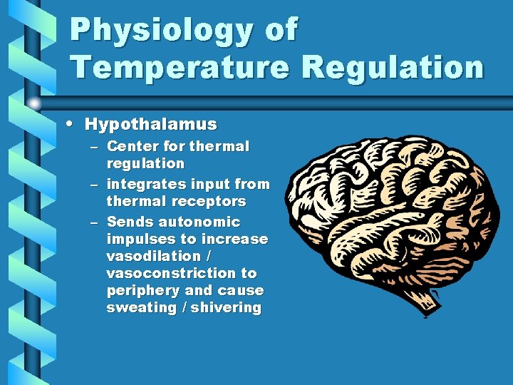 Physiology of Temperature Regulation • Hypothalamus – Center for thermal regulation – integrates input Physiology of Temperature Regulation • Hypothalamus – Center for thermal regulation – integrates input