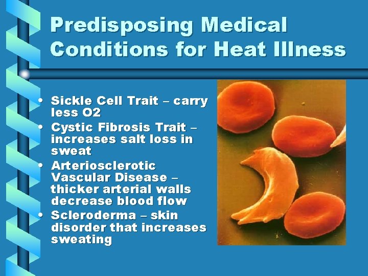 Predisposing Medical Conditions for Heat Illness • Sickle Cell Trait – carry less O Predisposing Medical Conditions for Heat Illness • Sickle Cell Trait – carry less O