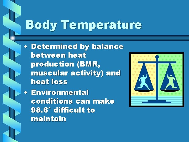 Body Temperature • Determined by balance between heat production (BMR, muscular activity) and heat Body Temperature • Determined by balance between heat production (BMR, muscular activity) and heat