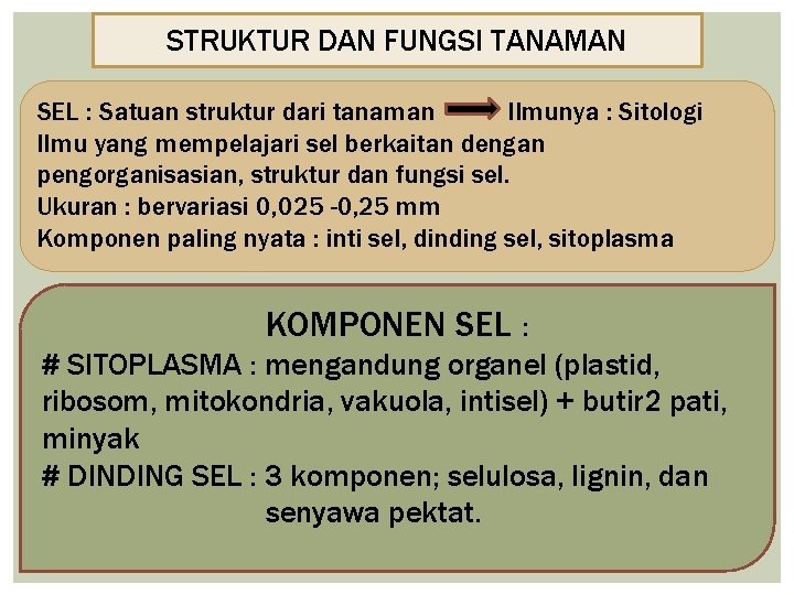 STRUKTUR DAN FUNGSI TANAMAN SEL : Satuan struktur dari tanaman Ilmunya : Sitologi Ilmu