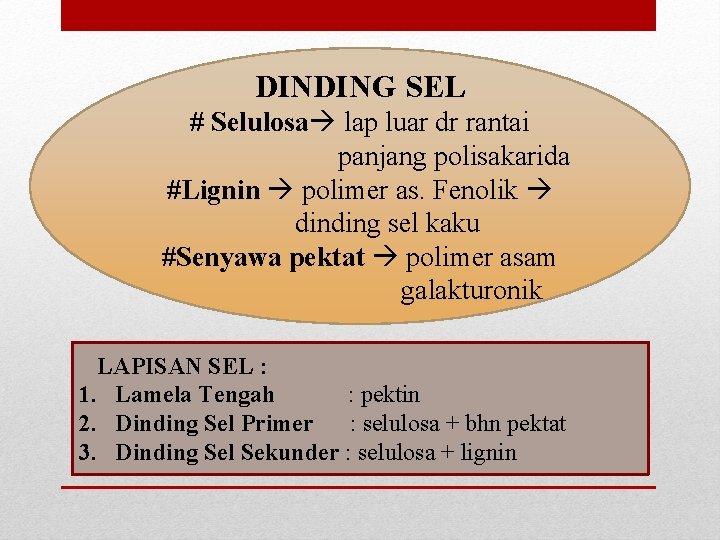 DINDING SEL # Selulosa lap luar dr rantai panjang polisakarida #Lignin polimer as. Fenolik