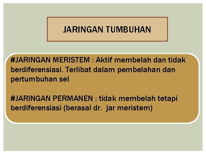 JARINGAN TUMBUHAN #JARINGAN MERISTEM : Aktif membelah dan tidak berdiferensiasi. Terlibat dalam pembelahan dan