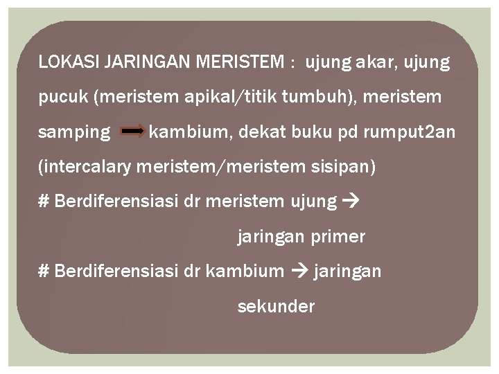 LOKASI JARINGAN MERISTEM : ujung akar, ujung pucuk (meristem apikal/titik tumbuh), meristem samping kambium,