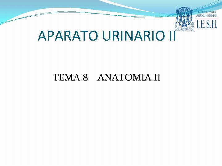 APARATO URINARIO II TEMA 8 ANATOMIA II 