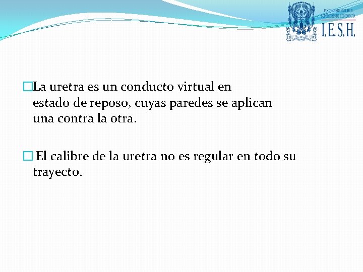 �La uretra es un conducto virtual en estado de reposo, cuyas paredes se aplican