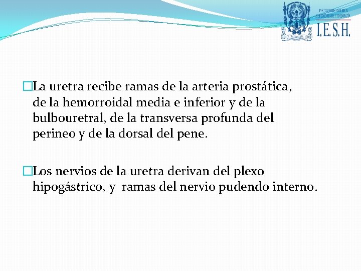 �La uretra recibe ramas de la arteria prostática, de la hemorroidal media e inferior