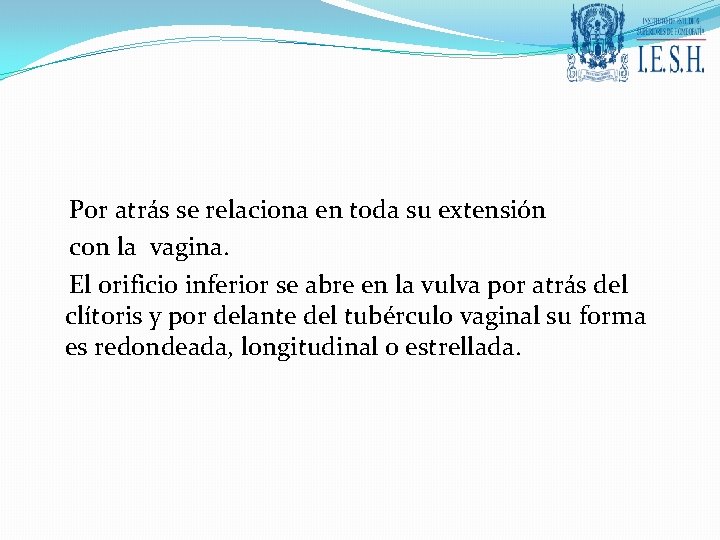 Por atrás se relaciona en toda su extensión con la vagina. El orificio inferior