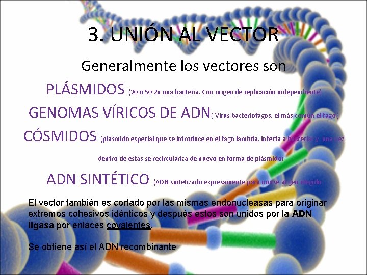 3. UNIÓN AL VECTOR Generalmente los vectores son PLÁSMIDOS (20 o 50 2 n
