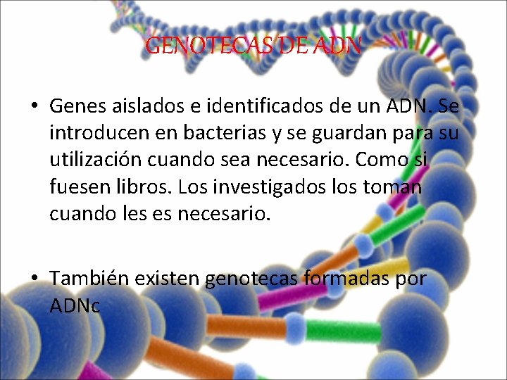 GENOTECAS DE ADN • Genes aislados e identificados de un ADN. Se introducen en