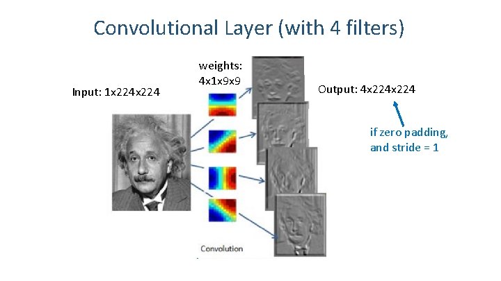 Convolutional Layer (with 4 filters) Input: 1 x 224 weights: 4 x 1 x