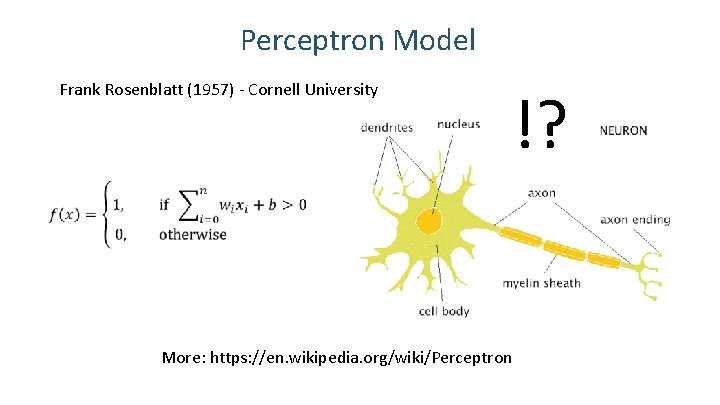 Perceptron Model Frank Rosenblatt (1957) - Cornell University !? More: https: //en. wikipedia. org/wiki/Perceptron