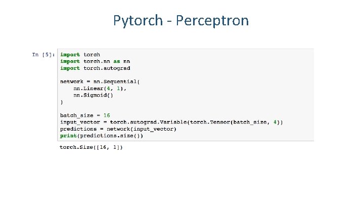 Pytorch - Perceptron 