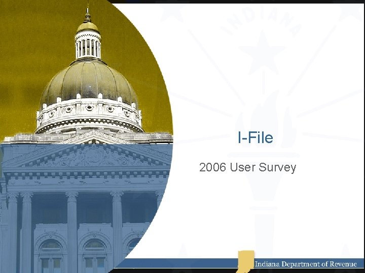 I-File 2006 User Survey 