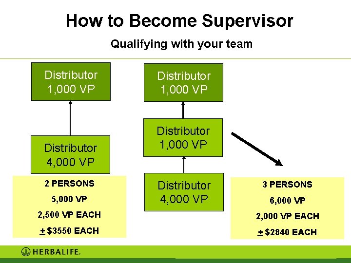 How to Become Supervisor Qualifying with your team Distributor 1, 000 VP Distributor 4, How to Become Supervisor Qualifying with your team Distributor 1, 000 VP Distributor 4,