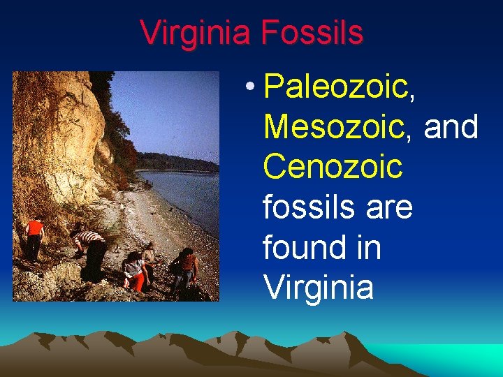 Virginia Fossils • Paleozoic, Mesozoic, and Cenozoic fossils are found in Virginia 
