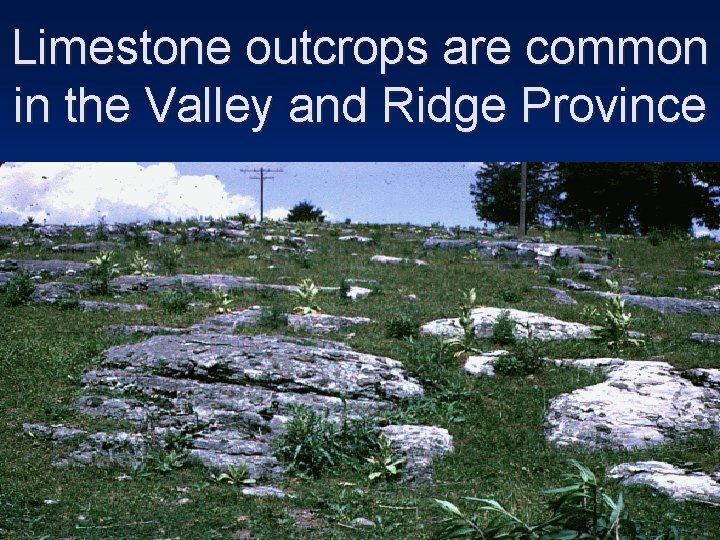 Limestone outcrops are common in the Valley and Ridge Province 