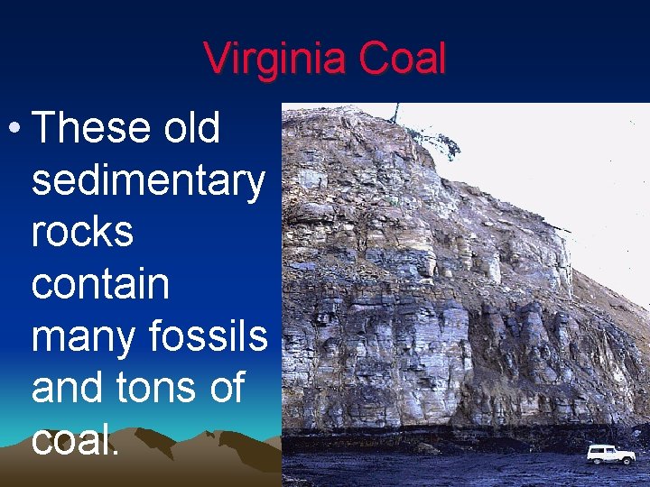 Virginia Coal • These old sedimentary rocks contain many fossils and tons of coal.