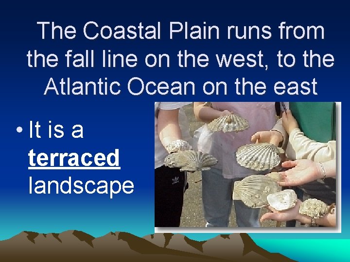 The Coastal Plain runs from the fall line on the west, to the Atlantic