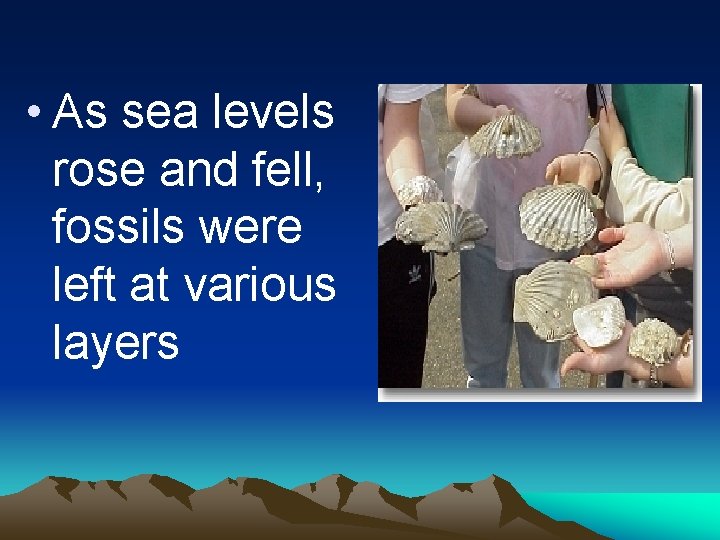  • As sea levels rose and fell, fossils were left at various layers