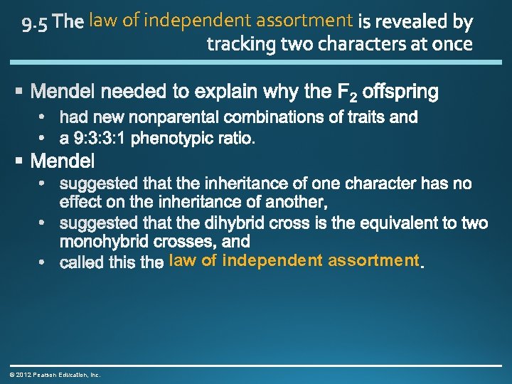 law of independent assortment © 2012 Pearson Education, Inc. 