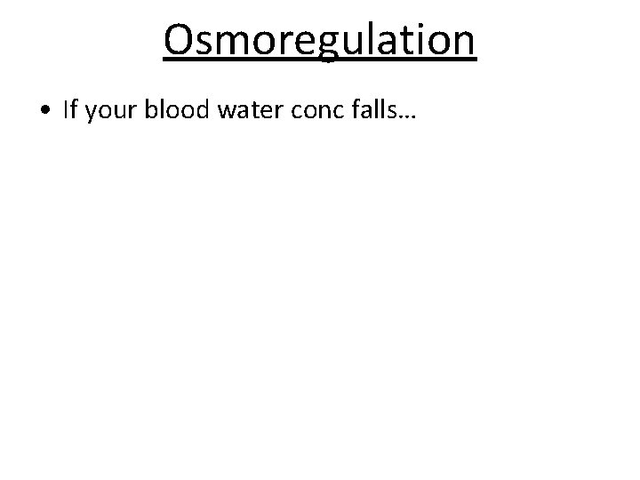 Osmoregulation • If your blood water conc falls… 
