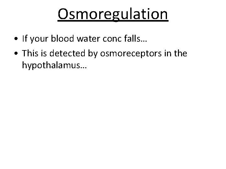 Osmoregulation • If your blood water conc falls… • This is detected by osmoreceptors