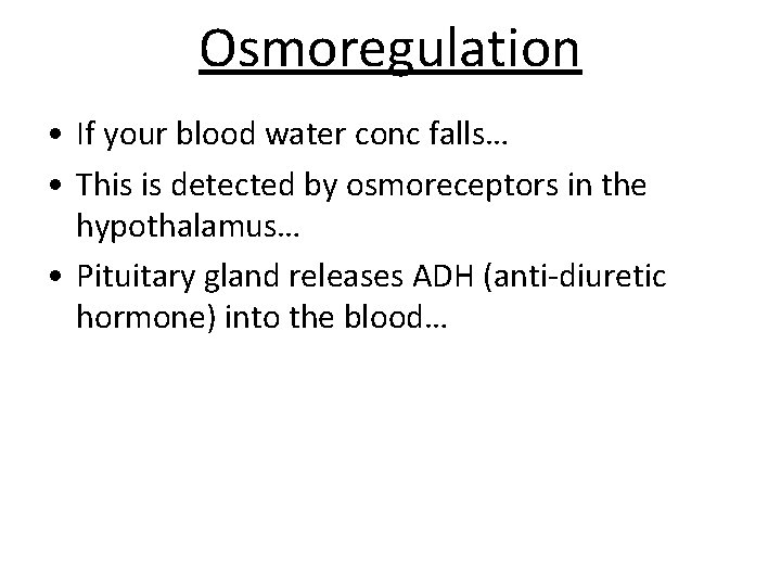 Osmoregulation • If your blood water conc falls… • This is detected by osmoreceptors