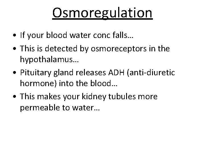 Osmoregulation • If your blood water conc falls… • This is detected by osmoreceptors